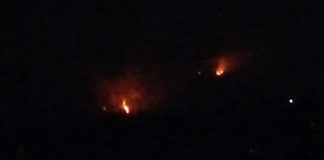 Titik Api Muncul Lagi di P30 Bromo, Diduga Berawal dari Pembakaran Ladang Warga
