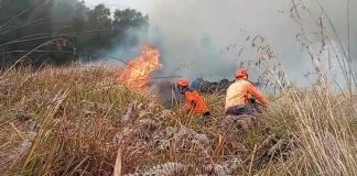 Karhutla di TNBTS Meluas, Api Mendekati Bukit Teletubbies