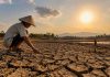 El Nino Menguat, BMKG Prediksi Kemarau Jatim Berlanjut hingga November