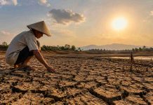 El Nino Menguat, BMKG Prediksi Kemarau Jatim Berlanjut hingga November
