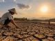 El Nino Menguat, BMKG Prediksi Kemarau Jatim Berlanjut hingga November