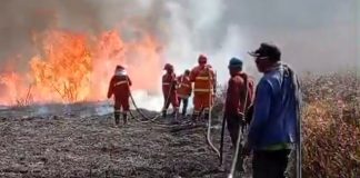Wisata Bromo Ditutup Total Mulai 12 September akibat Karhutla, Tiket Bisa Refund atau Reschedule
