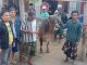 Sapi Diduga Hasil Curian Terjatuh dari Kendaraan di Probolinggo, Polisi Telusuri Pelaku