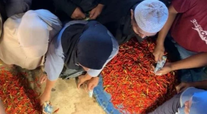 Cabai Rawit Probolinggo Laris Manis di Manado