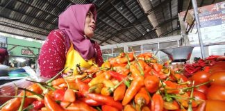 Harga Sayur Masih Tinggi, Cabai Rawit Tembus Rp80 Ribu di Kota Pasuruan