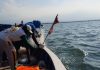 Gelombang Selat Madura hingga 1,3 Meter, Nelayan Probolinggo Diminta Waspada