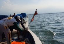 Gelombang Selat Madura hingga 1,3 Meter, Nelayan Probolinggo Diminta Waspada