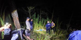 Pria 72 Tahun Ditemukan Meninggal di Hutan, Polisi Temukan Luka di Tubuh Korban