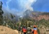 Kebakaran di Kawasan Bromo Probolinggo Belum Padam, Angin Kencang Persulit Pemadaman