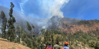 Kebakaran di Kawasan Bromo Probolinggo Belum Padam, Angin Kencang Persulit Pemadaman