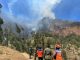 Kebakaran di Kawasan Bromo Probolinggo Belum Padam, Angin Kencang Persulit Pemadaman