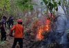 Polisi Selidiki Penyebab Kebakaran Gunung Arjuno-Welirang, Api Merambat ke Mojokerto dan Batu