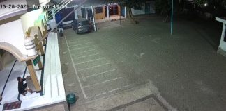Terekam CCTV! Pria Curi Uang Kotak Amal Masjid Fathulloh Sebaung