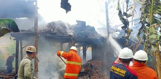 Bakar Sampah, Rumah di Lumajang Ikut Terbakar