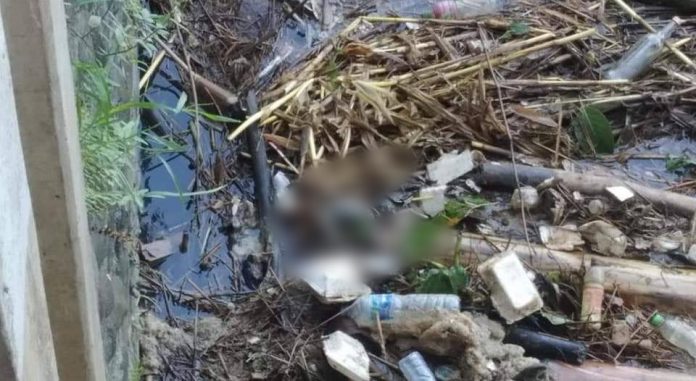 Warga Temukan Mayat Bayi Ditumpukan Sampah Sungai Bondoyudo