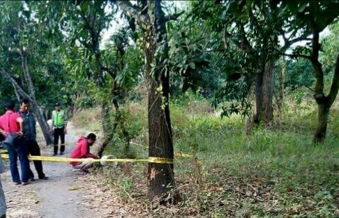 Mau Bersihkan Peternakan Ayam Pria Ini Temukan Benda 