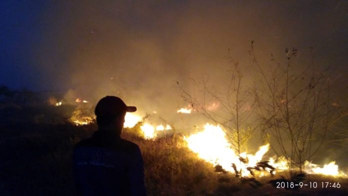 Kebakaran lahan Pabrik kimia di Gerongan