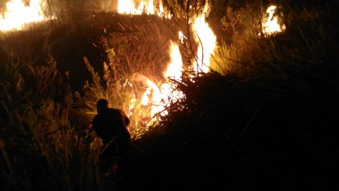 Hutan Arjuno Kembali Terbakar
