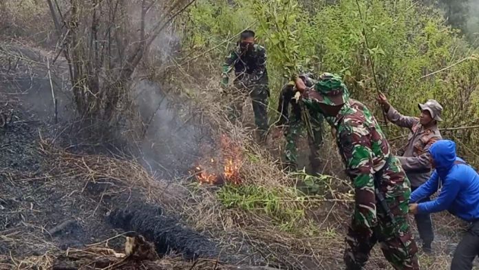 Sejumlah personel relawan saat memadamkan api di salah satu titik Gunung Arjuno. Foto: istimewa/untuk ilustrasi