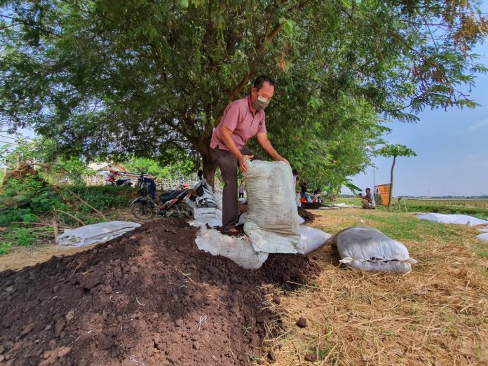 BAHAN ORGANIK: Para petani dari Gapoktan Saluyu, kelompok binaan PT Pertamina Gas mengembangkan pertanian ramah lingkungan dengan memanfaatkan bahan-bahan organik.