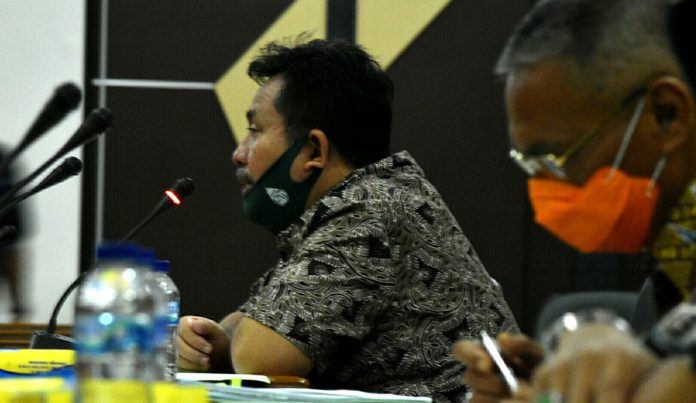 Rapat pansus
