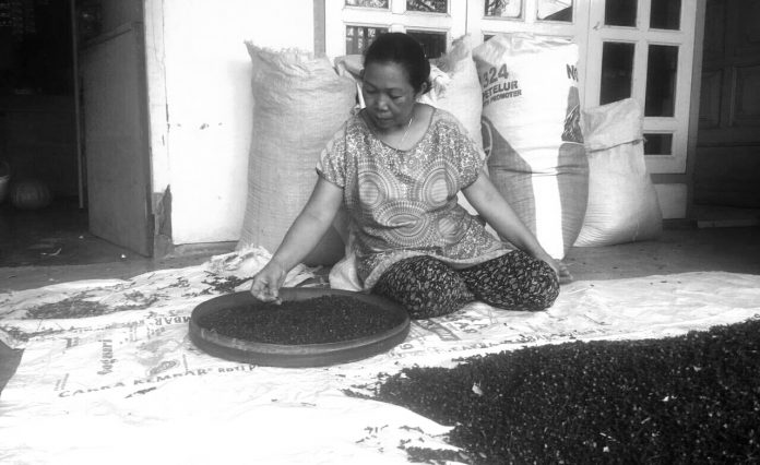 Petani cengkih
