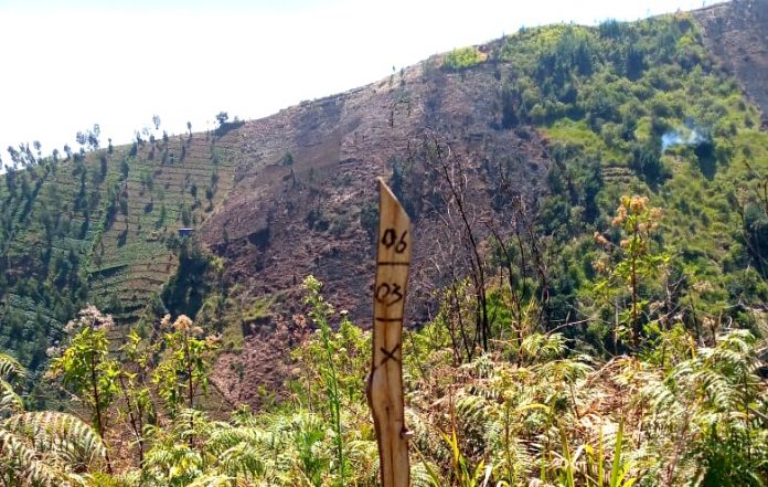 Hutan Pusungmalang