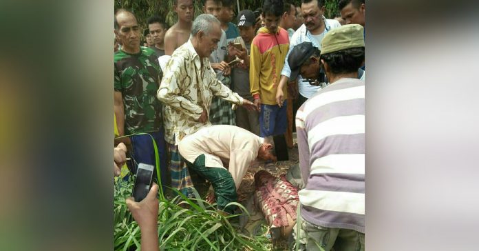 Curi Motor, Perangkat Desa Patemon Babak Belur Dihajar Warga
