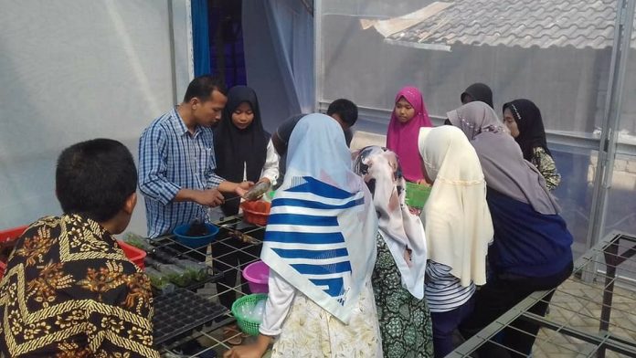 Dengan Anggrek, Sadengrejo