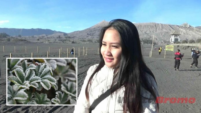 Memburu Salju Bromo