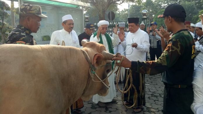 Pemkot Pasuruan Serahkan 24 Hewan Kurban