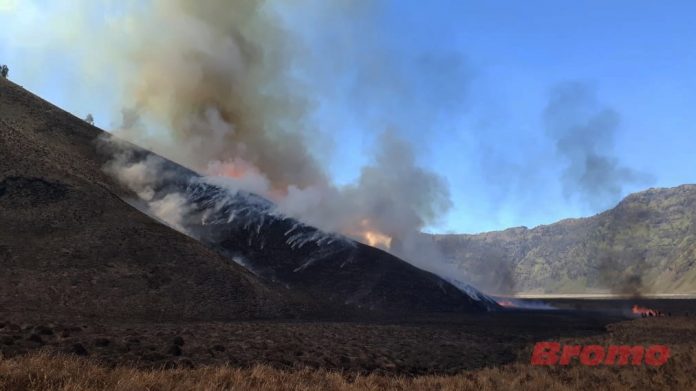 Kebakaran Bromo