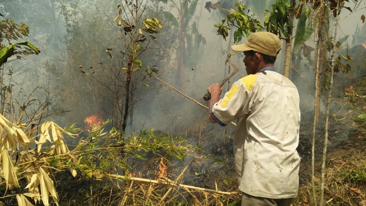 Gunung Ringgit Terbakar Pembuatan Arang Diduga Jadi Gunung Ringgit Terbakar Pembuatan Arang Diduga Jadi