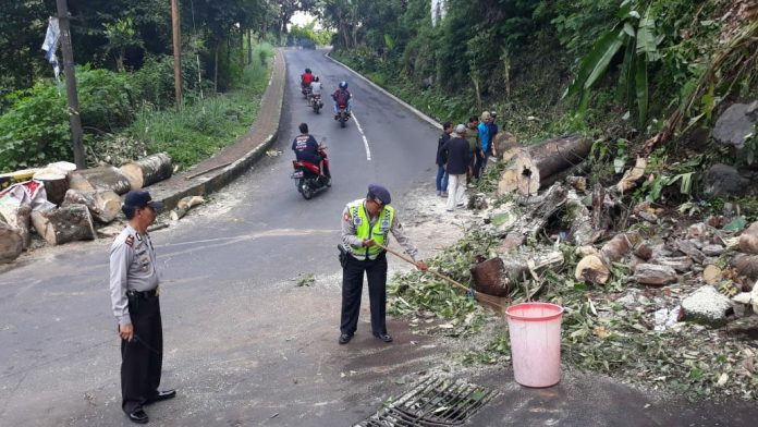 Petugas kepolisian bersama sejumlah pihak ketika membersihkan pohon tumbang di area wisata Kakek Bodo.