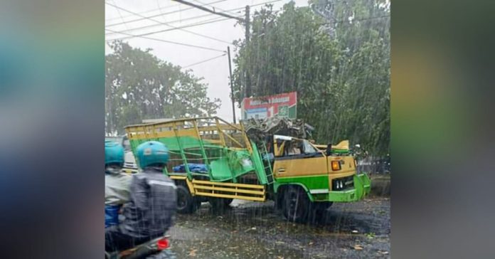 Angin Kencang, Pohon Tumbang Menimpa Truk di Apollo