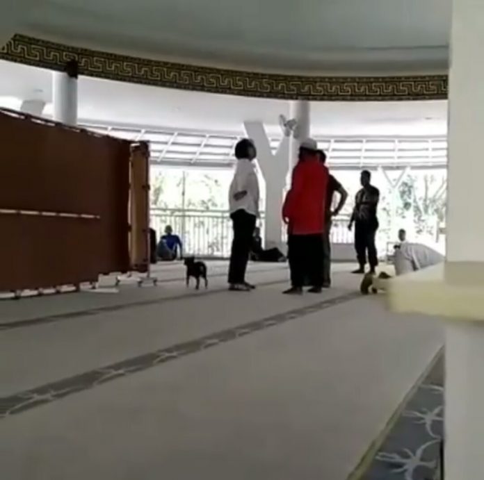 Wanita Bawa Anjing Ngamuk di Masjid Gegerkan Warganet - wartabromo