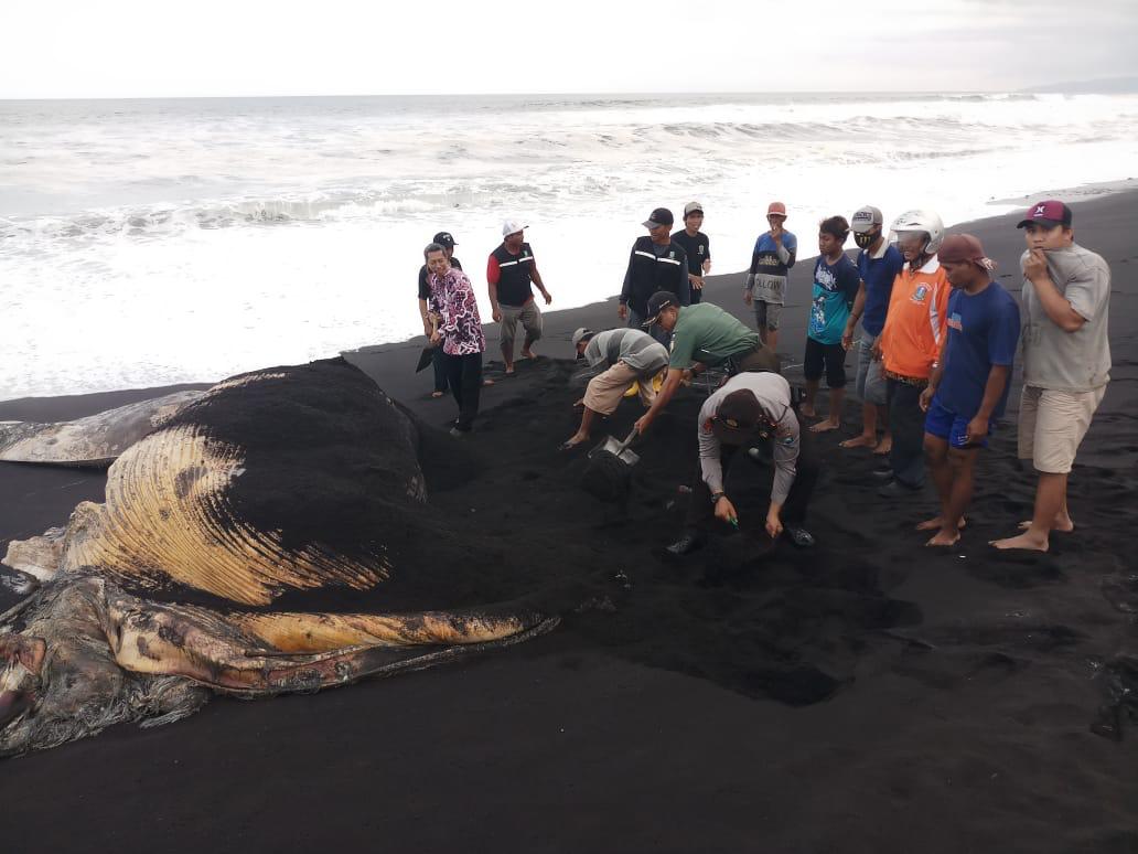 Download 850 Koleksi Gambar Ekosistem Laut Yang Rusak Paling Baru HD