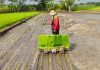 Keren! Pria Asal Gondang Wetan Ciptakan Alat Tanam Padi dari Mesin Potong Rumput