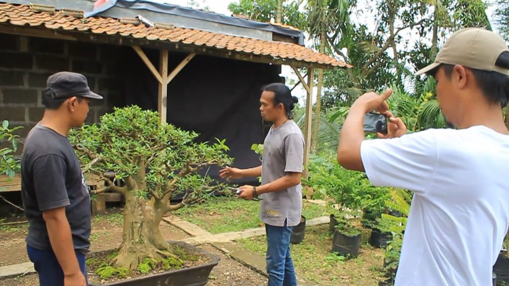 Bonsai Bromo Sukses Rambah Dunia Digital